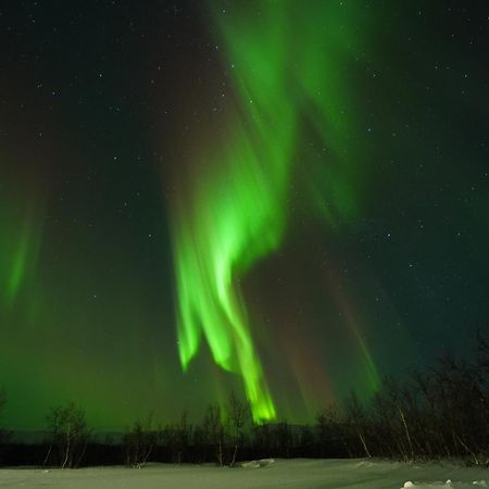 Northern Light Huts - Paradise Lapland Kiruna község Kültér fotó