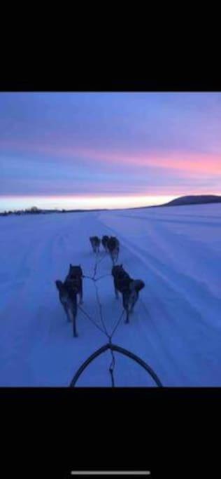 Northern Light Huts - Paradise Lapland Kiruna község Kültér fotó